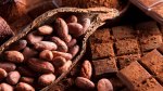 A Healthier chocolate created from the cocoa fruit