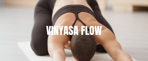 vinyasia flow in chicago gym